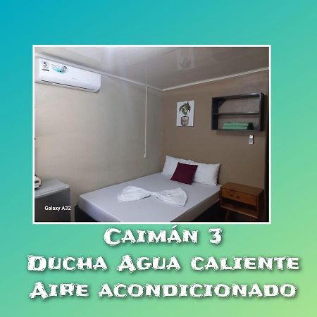 Caimán 3 Apartamento Tortuguero Exterior foto