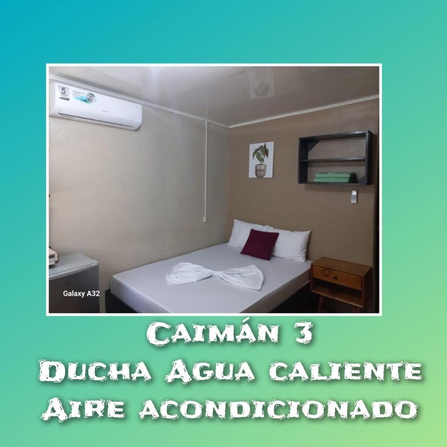 Caimán 3 Apartamento Tortuguero Exterior foto