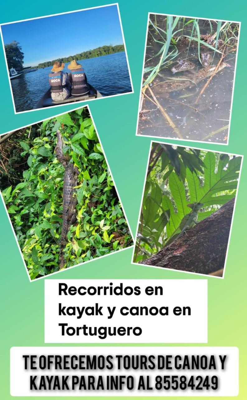 Caimán 3 Apartamento Tortuguero Exterior foto