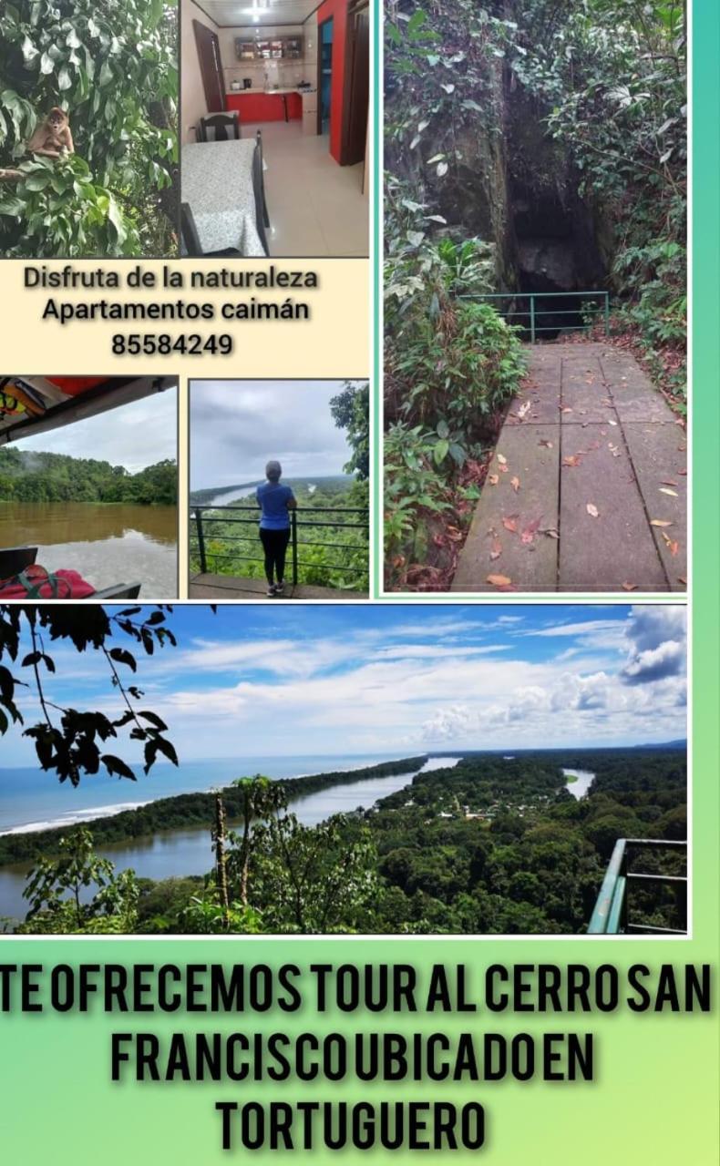 Caimán 3 Apartamento Tortuguero Exterior foto